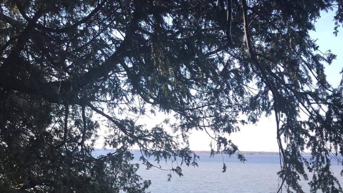 Saint-Armand Apartment | Appartement directement sur le bord du Lac Champlain