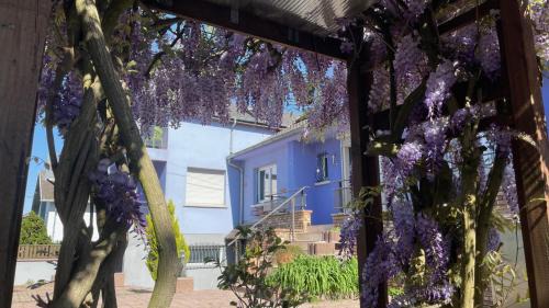 Gundershoffen Apartment | Appartement entier, calme, confortable et spacieux