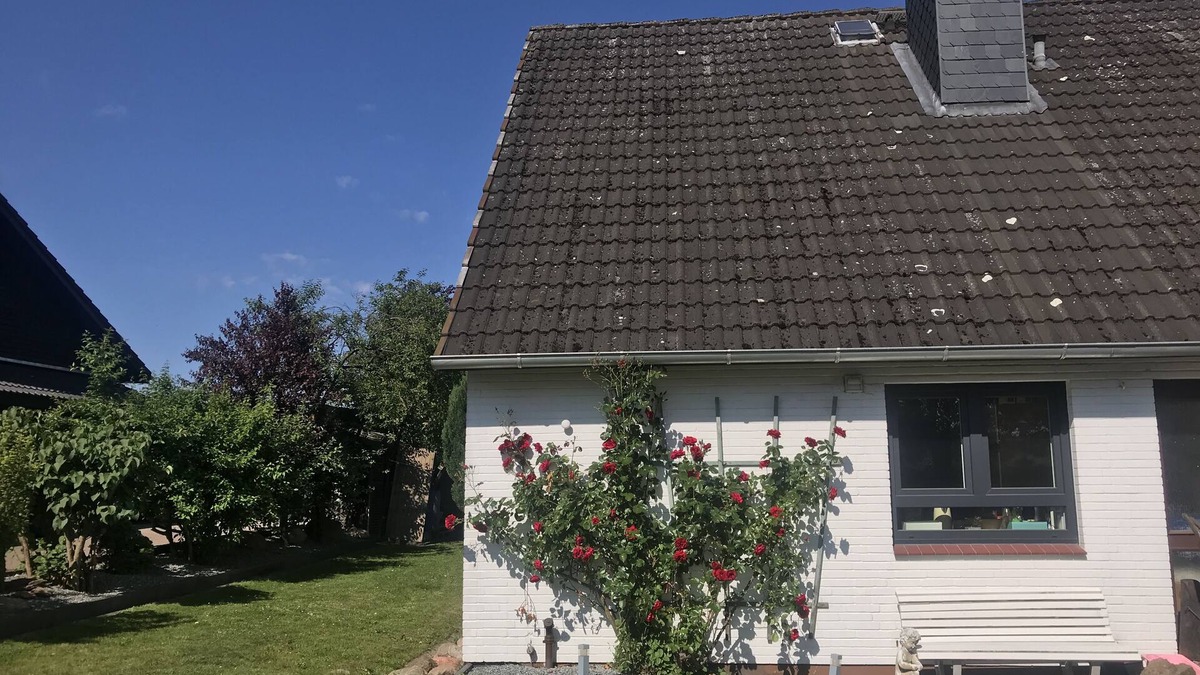 Wangels Apartment | Appartement Fernsicht/Wangels/Bungsberg/Ruhe/Wandern/Hohwachter Bucht