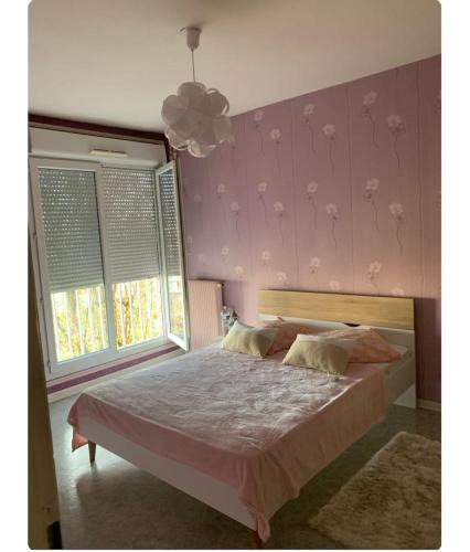 Vandoeuvre-les-Nancy Apartment | Appartement spacieux et lumineux