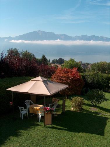 Blonay Apartment | Appartement La Coudraie
