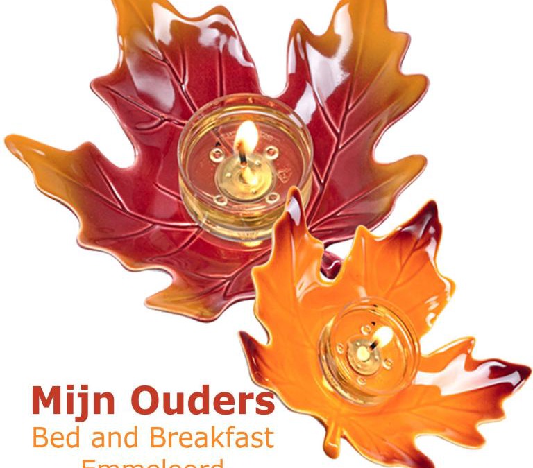 Municipality of Noordoostpolder Bed & Breakfast | Appartement Mijn Ouders Bed en Breakfast Emmeloord