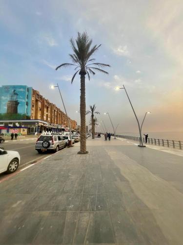 Salamandre Apartment | Appartement Mostaganem Salamandre