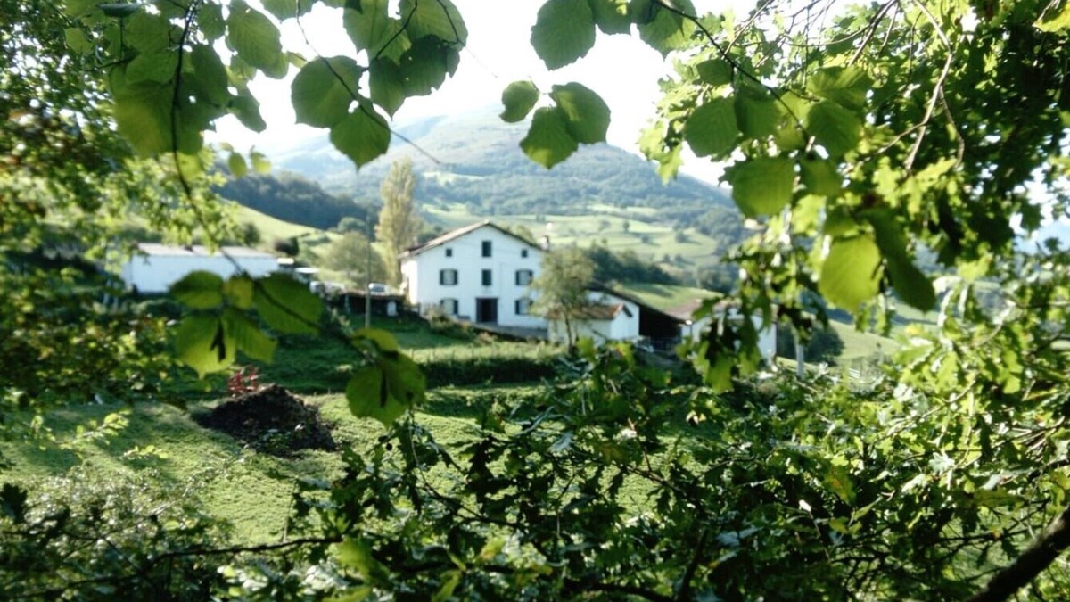 Uhart-Cize House | Appartement Neuf à la Ferme à Uhart Cize à 4km de St Jean Pied de Port