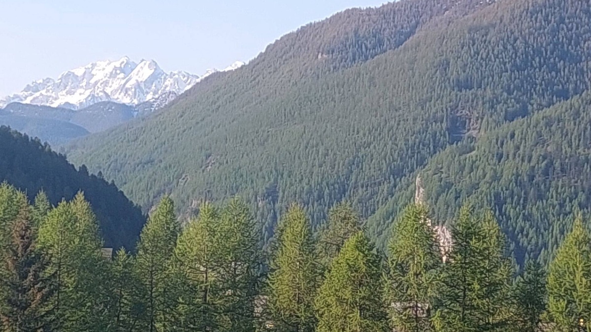 Arvieux Apartment | Appartement Pied des Pistes Avec Magnifique vue sur la Montagne