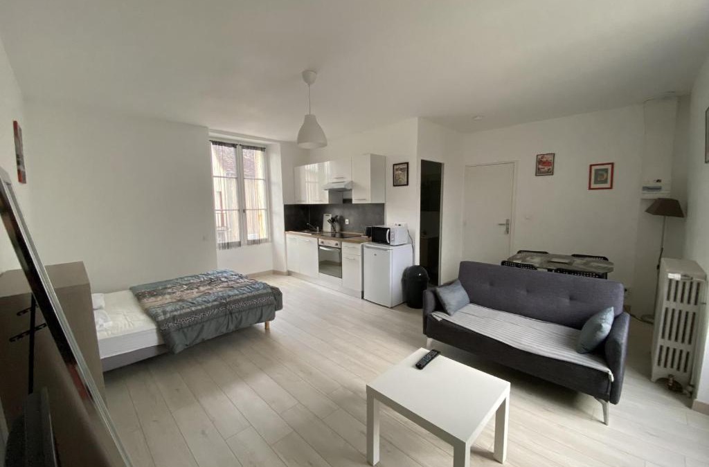 La Roche-Posay Apartment | Appartement Rénové avec Cuisine Américaine et WIFI, Proche des Thermes Saint Roch - FR-1-541-32