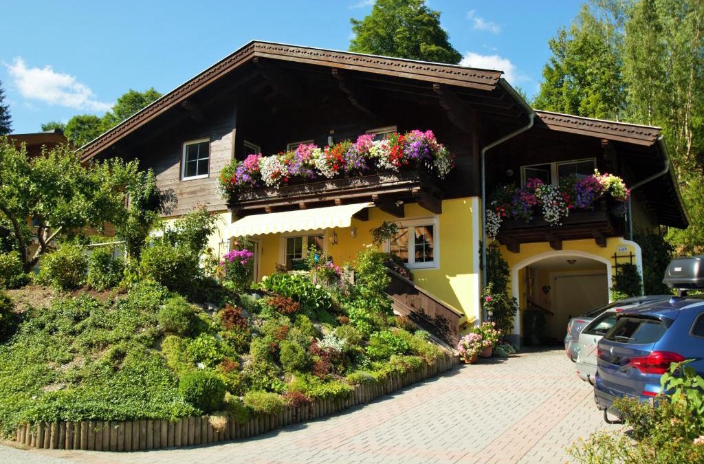 Vorderglemm Apartment | Appartement Ripper