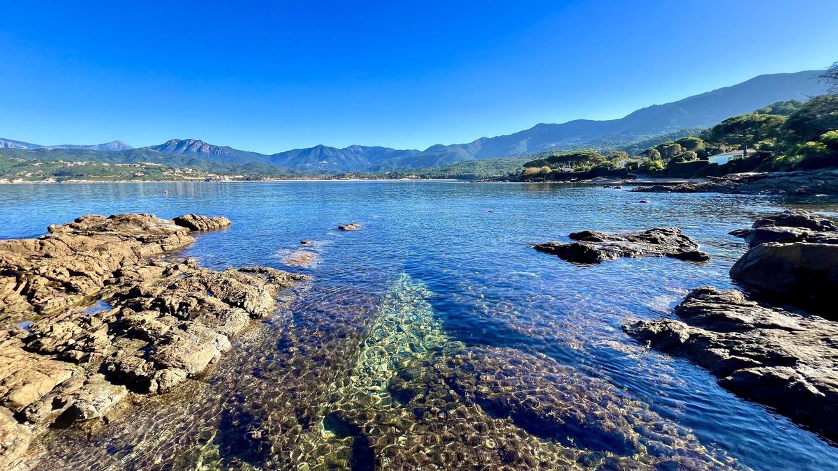 Corse-du-Sud Apartment | Appartement vue mer et Montagne, à Létage