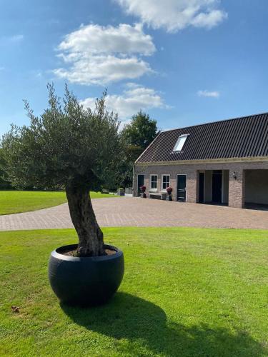 Municipality of Hof van Twente Apartment | Appartement Zeldam