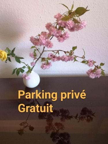 Esplanade Apartment | Appartement Zen Strasbourg center avec parking