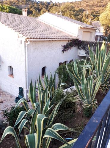 Hyeres Apartment | APPARTEMENTS DANS VILLA EN REZ DE JARDIN