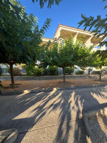 Grosseto-Prugna Apartment | Appartements PORTICCIO CENTRE