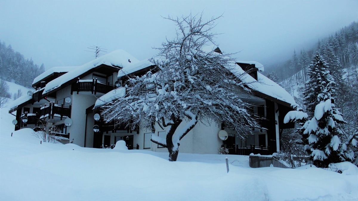 Todtnau Apartment | Appartment Orchidee, Black Forest, Todtnau Freiburg & Lörrach, Black Forest