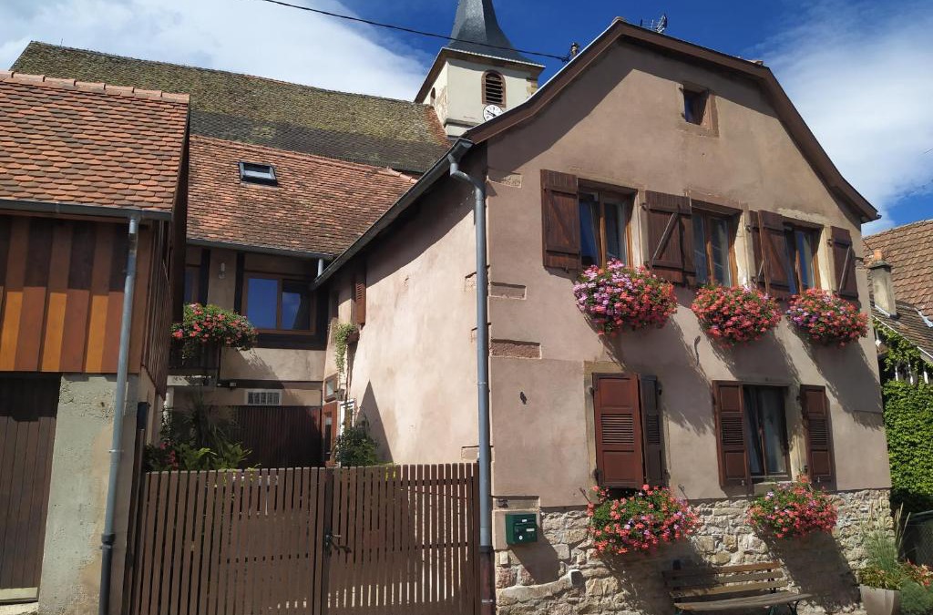 Ottrott Apartment | Appartments Rue Des Châteaux