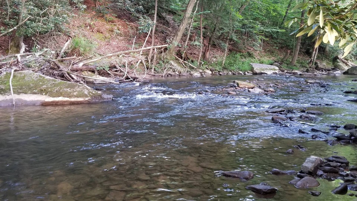 Helvetia RV Rental | Appenzell - Riverside RV Site A4 Mountain Views & Trout Stream