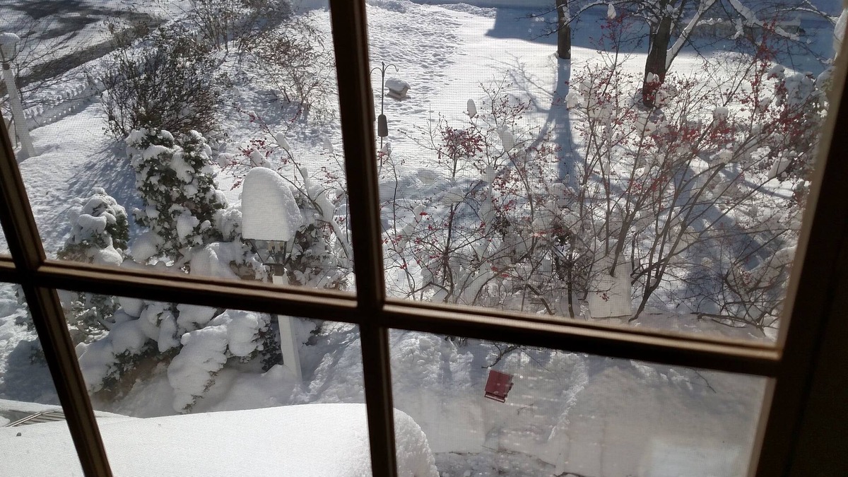 Willow Street Bed & Breakfast | Apple Bin Inn