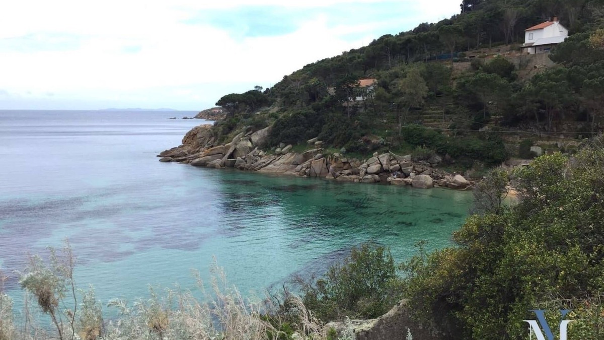 Giglio Campese Apartment | Apt Capel Rosso - Villa Manzoni