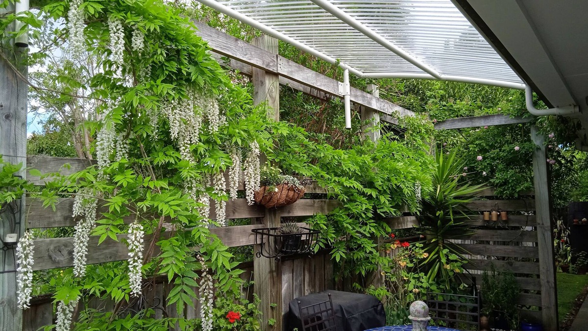 Greytown Apartment | Apt Le Petit. Ideal for a quiet getaway