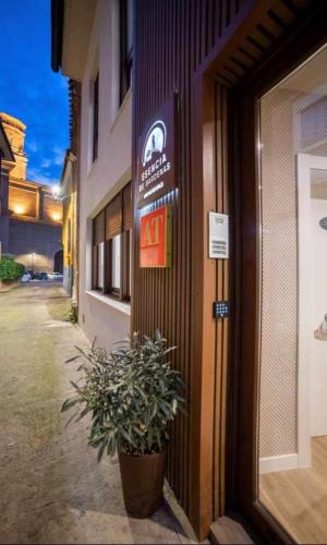 Villafranca Apartment | Apto rural Alesves Esencia de Bardenas Navarra