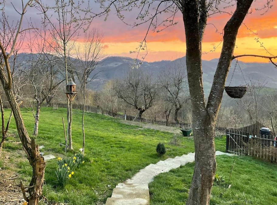 Buces House | Apusenia - darul naturii