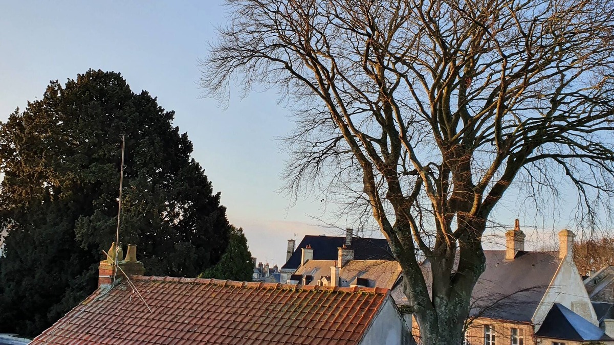 Bayeux Apartment | APY BAYEUX: * apartment in the heart of the city