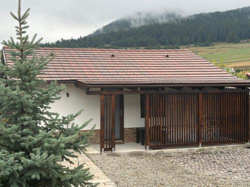 Sincraieni House | Aqua Garden Junior Miercurea Ciuc