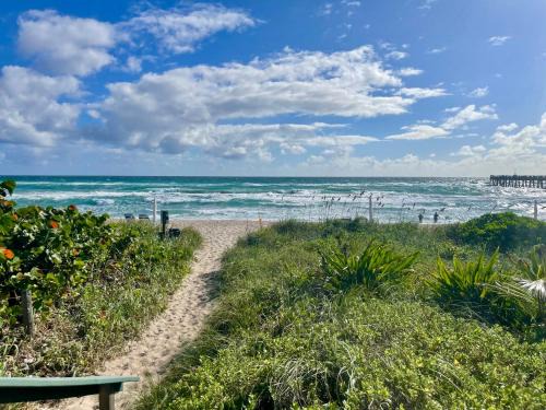South Palm Park Neighborhood Association Apartment | Aqua Oasis