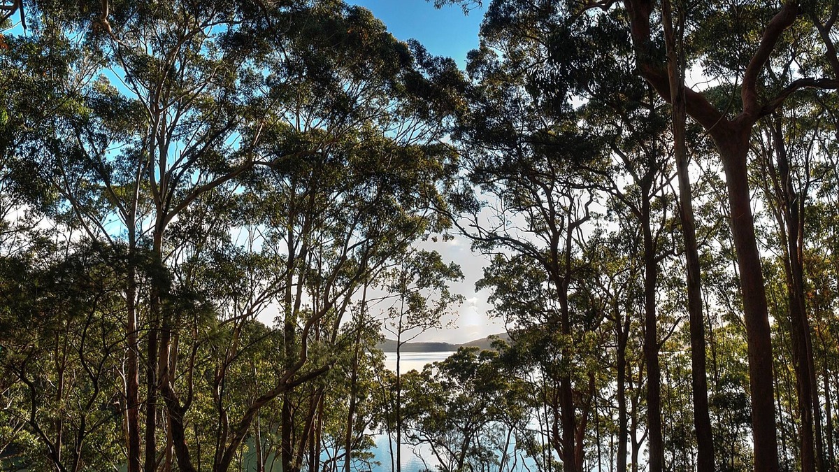 Smiths Lake House | Aqua Vista - Stunning lake and tree top views. Relaxing Holiday