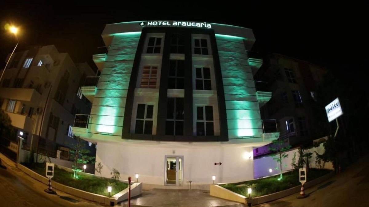 Kultur Mahallesi Hotel | Araucaria Pension