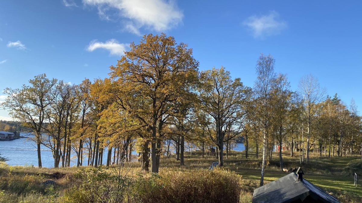 Vaxholm House | Archipelago cabin with ocean view