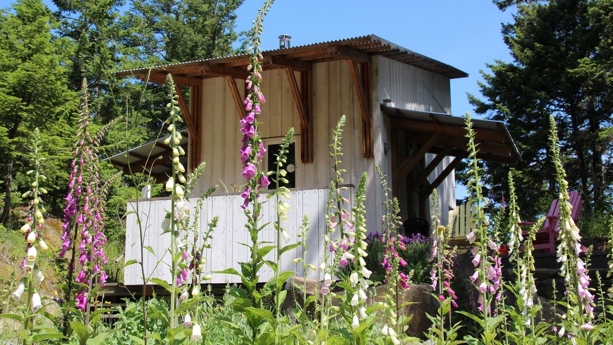 Pender Island Cottage | Architect designed cabin in the woods, Pender Island