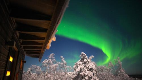 Paltamo Apartment | Arctic Giant