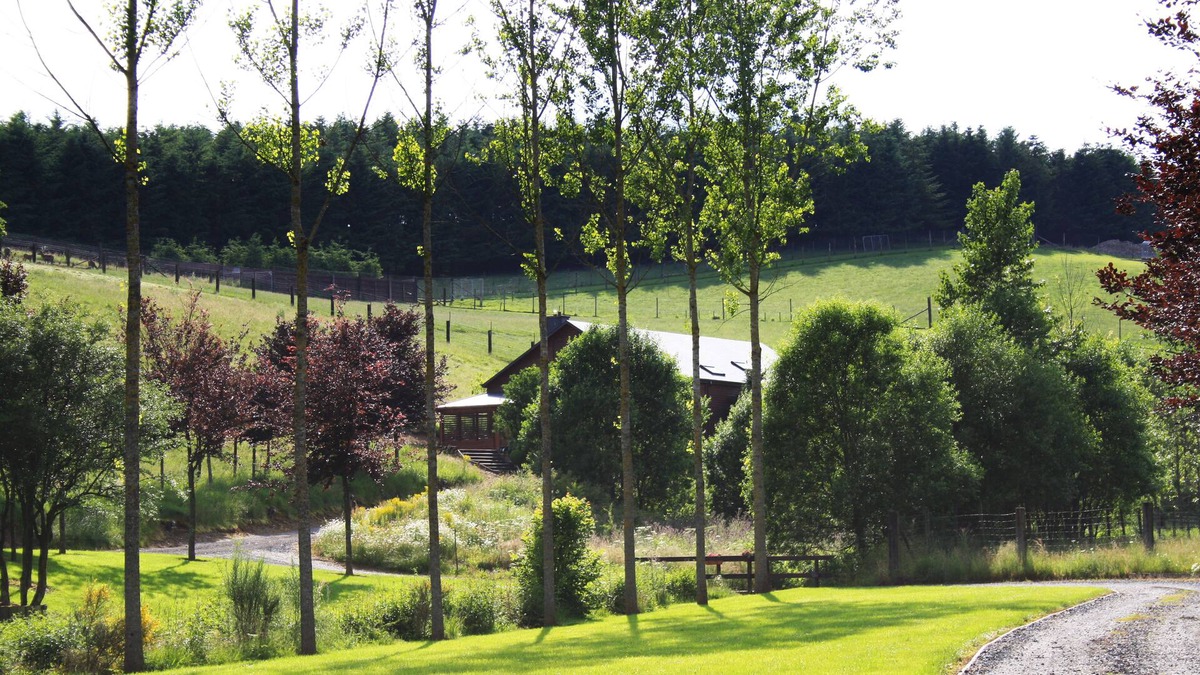 Fauvillers House | Ardennes gîte surrounded by game parks, at the foot of the Anlier forest