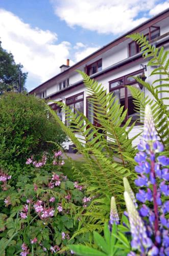 Aviemore House | Ardlogie Guest House