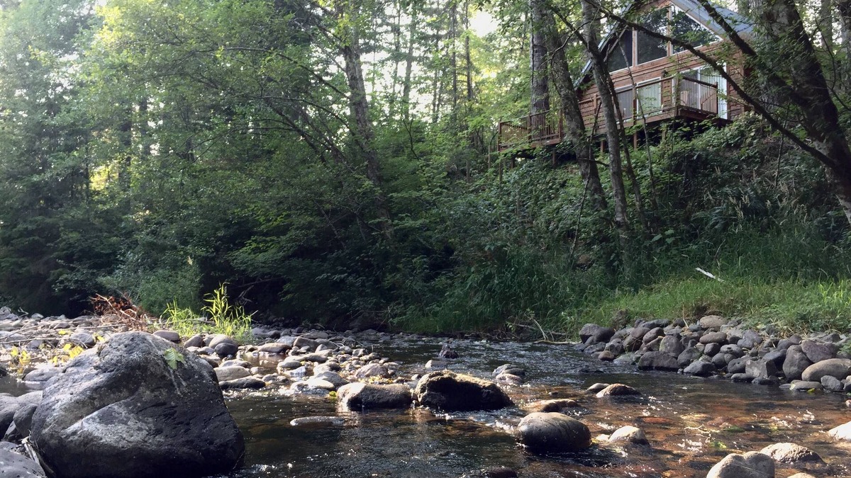 Paradise Estates Cabin | AREA FAVORITE! Stunning Creek-Front Cabin, Just Minutes From Mt. Rainier!