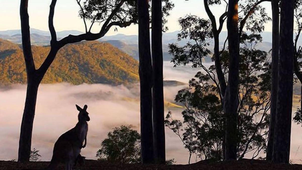 Vacy Cabin | Arinya Lodge - Mountaintop Wilderness Escape
