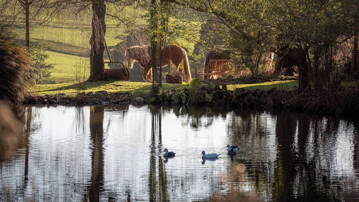 Yolla Apartment | Arion Park Clydesdale Farmstay in Yolla