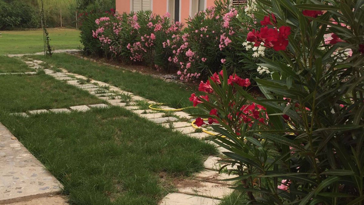 Diamante House | ARISTEA HOLIDAY HOME 1 CIRELLA - DIAMOND CLOSE TO THE SEA