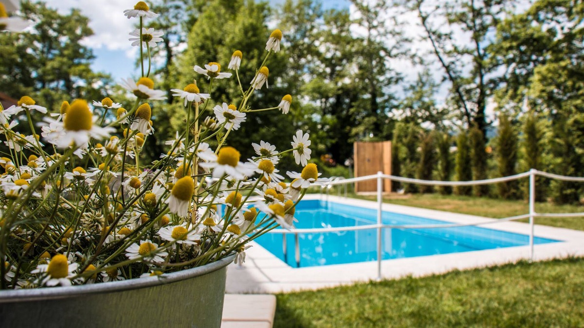 Anopolis Apartment | Aristotelia Gi Studio - Cozy Poolside Bliss