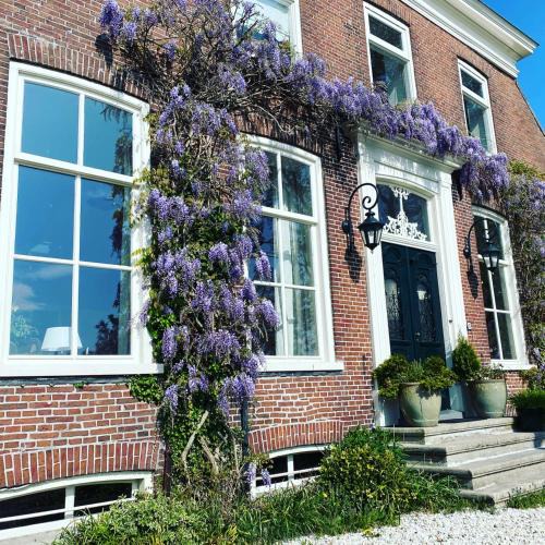 Thesinge Bed & Breakfast | Ark van Thesinge