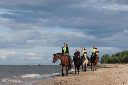 Rutja House | Arma Riding Farm And Holiday Home