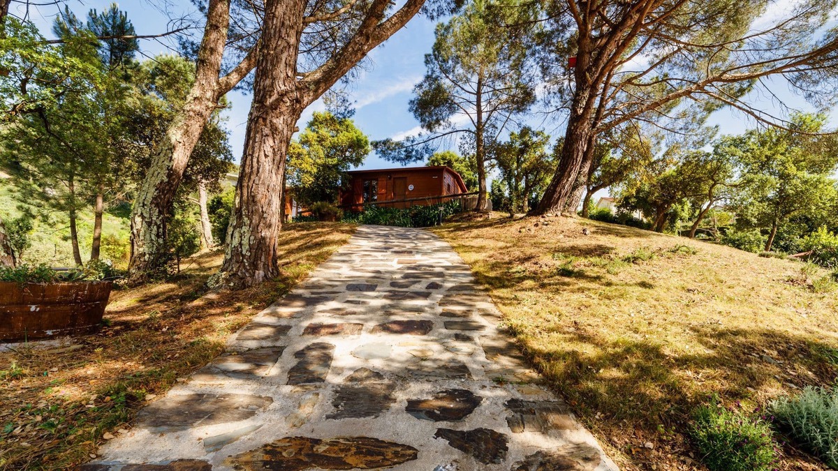 Castelo de Paiva House | Arrabia Bunga Douro - Madeira House with Pool