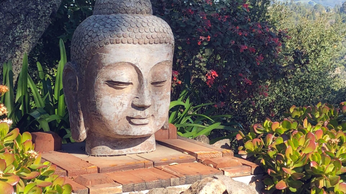 Lost Valley House | Art-Filled ORINDA ZEN Retreat. BREATHTAKING VIEWS! Minutes to BART, SAN FRANCISC