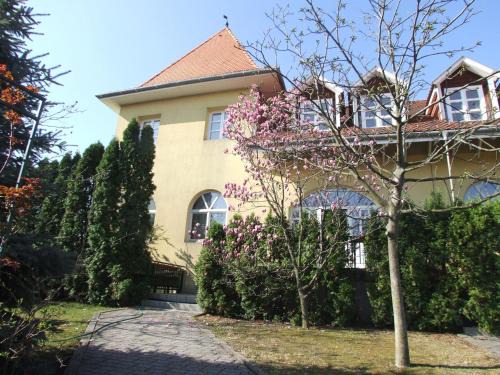 Sashalom House | Art Guesthouse