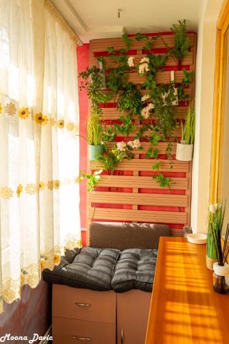 Barsanesti Apartment | Artistic