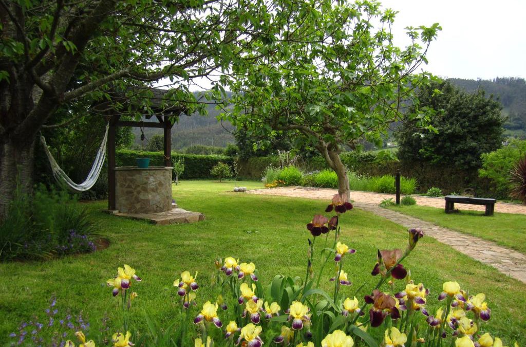Cedeira House | As Jarras