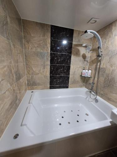 Asan Hotel | Asan Ritz Hotel
