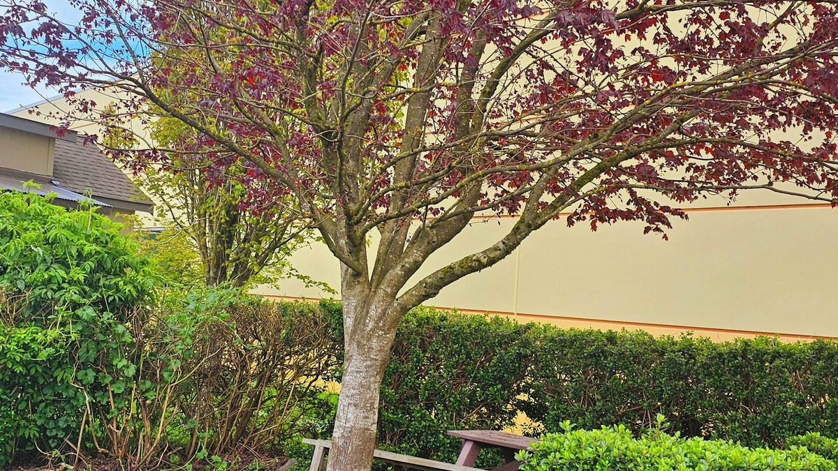 Tillamook Hotel | Ashley Inn of Tillamook