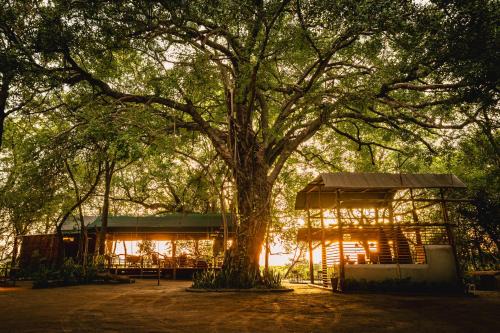 Shakawe House | ASKIESBOS - Samochima Bush Camp