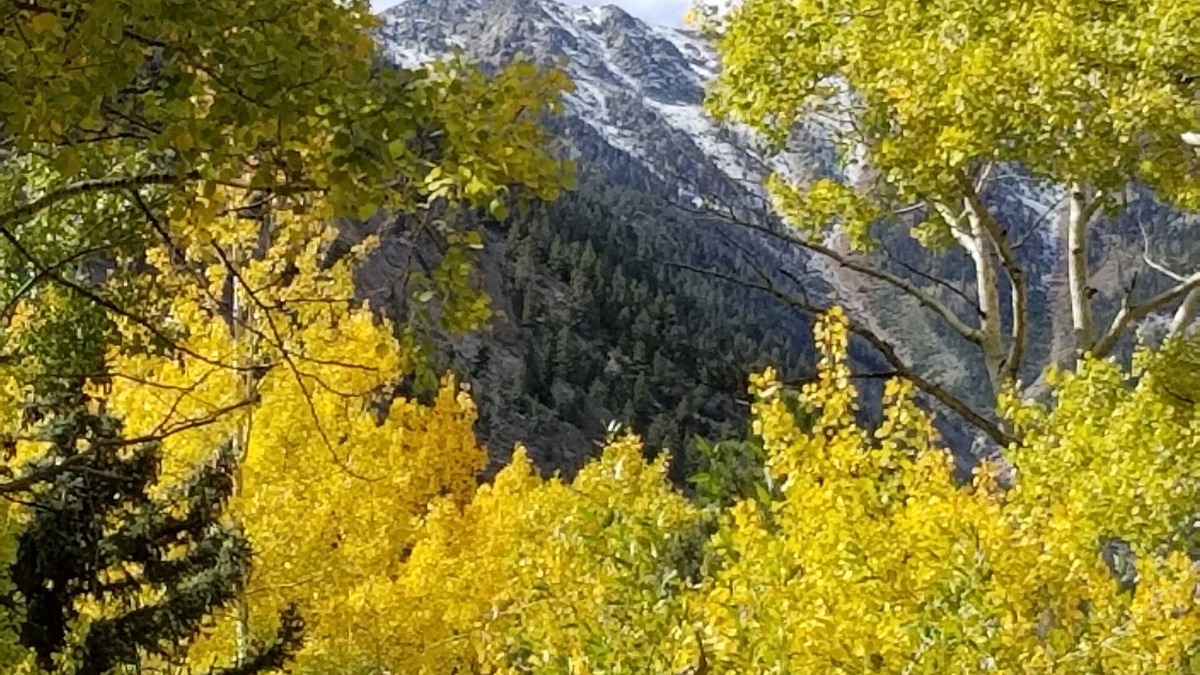 Nathrop Cabin | Aspen Grove with a cozy fireplace and a hot tub, come take the chill off!